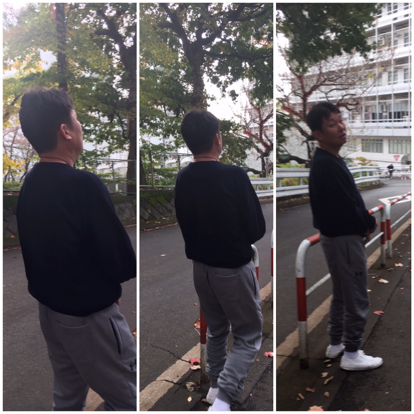 f:id:als20170208:20171128150318j:image