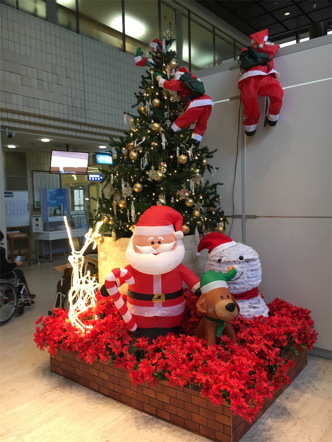 f:id:als20170208:20171218174832j:image