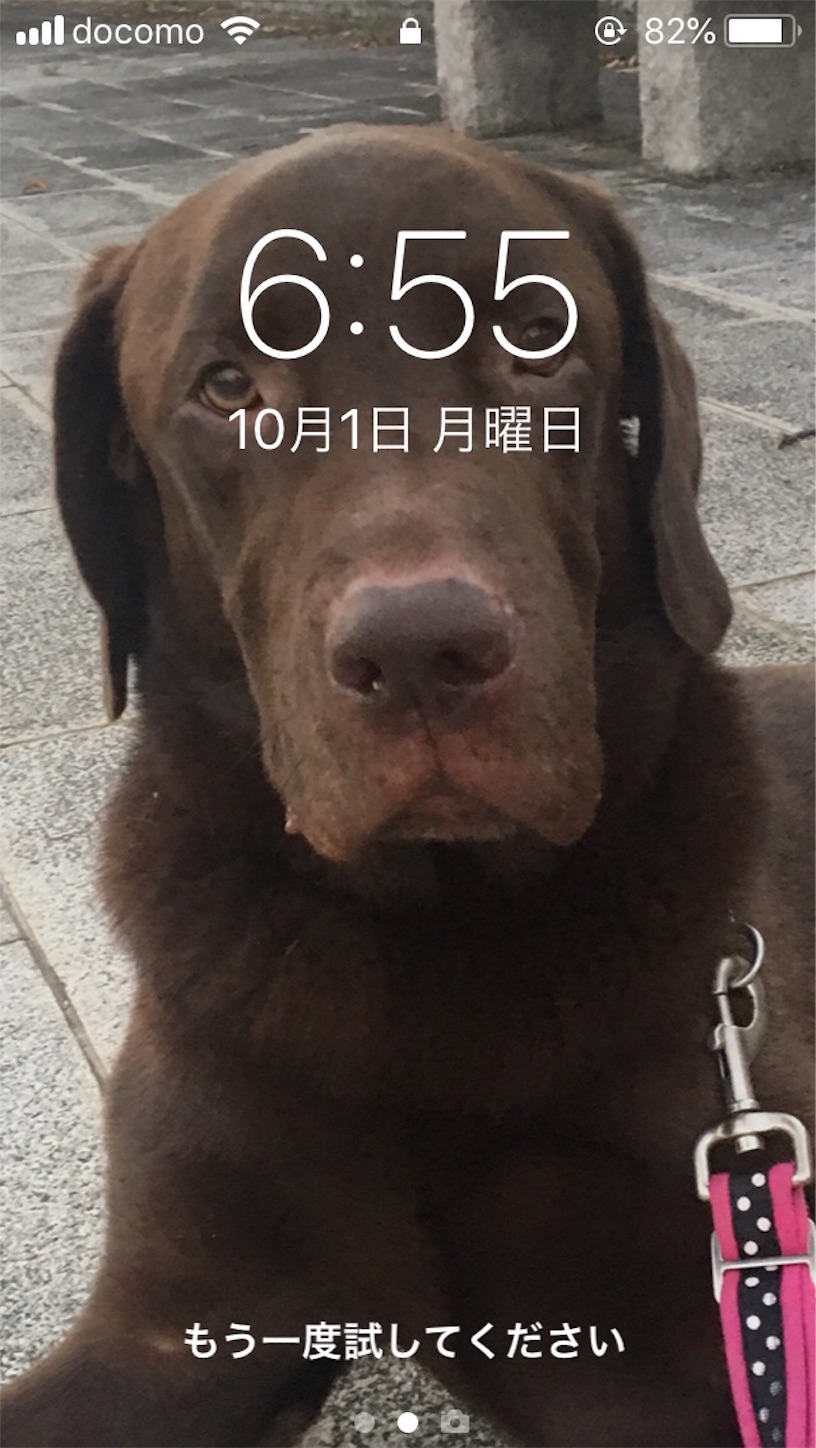 f:id:als20170208:20181001221534j:image