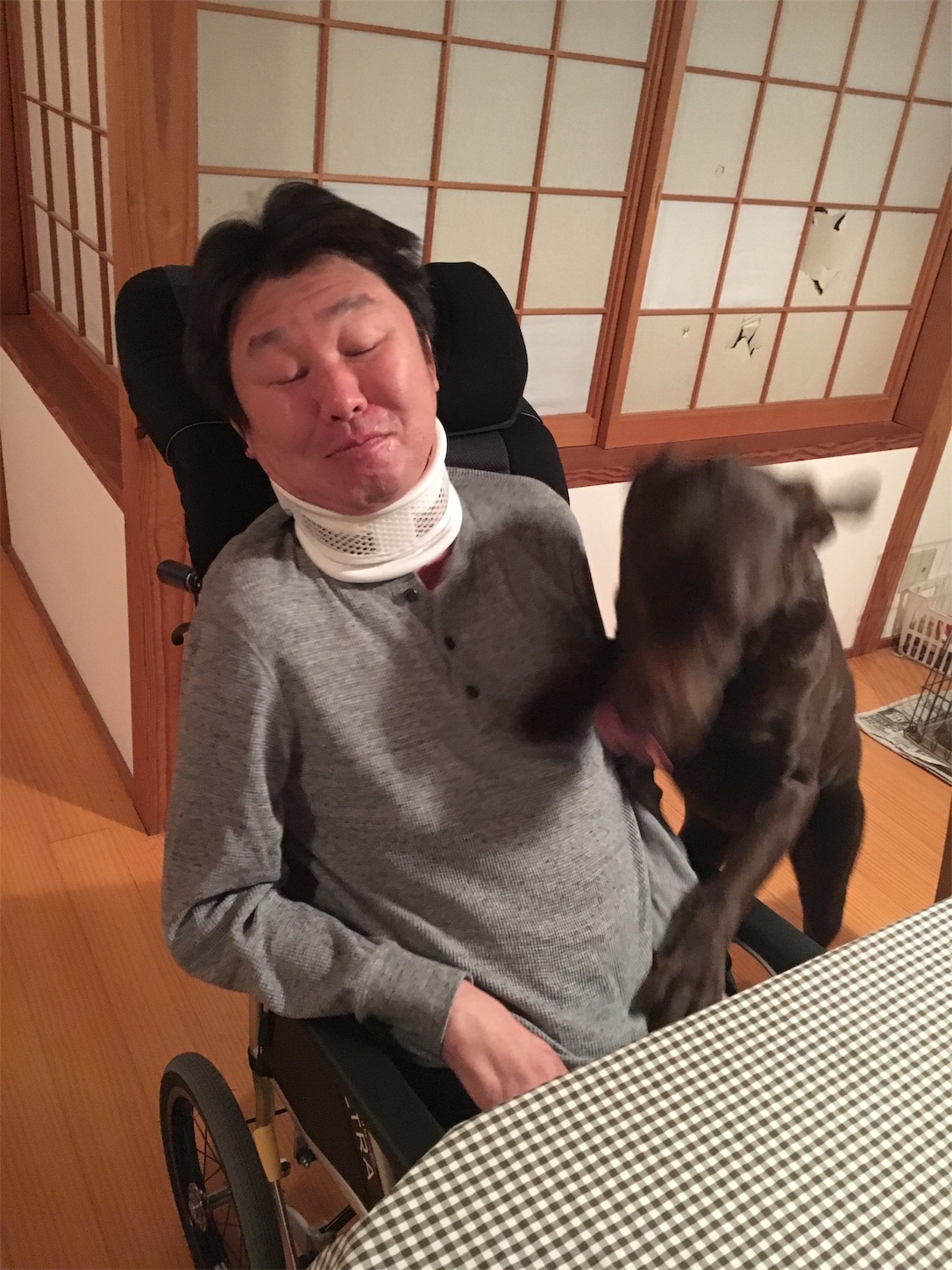 f:id:als20170208:20190224133654j:image