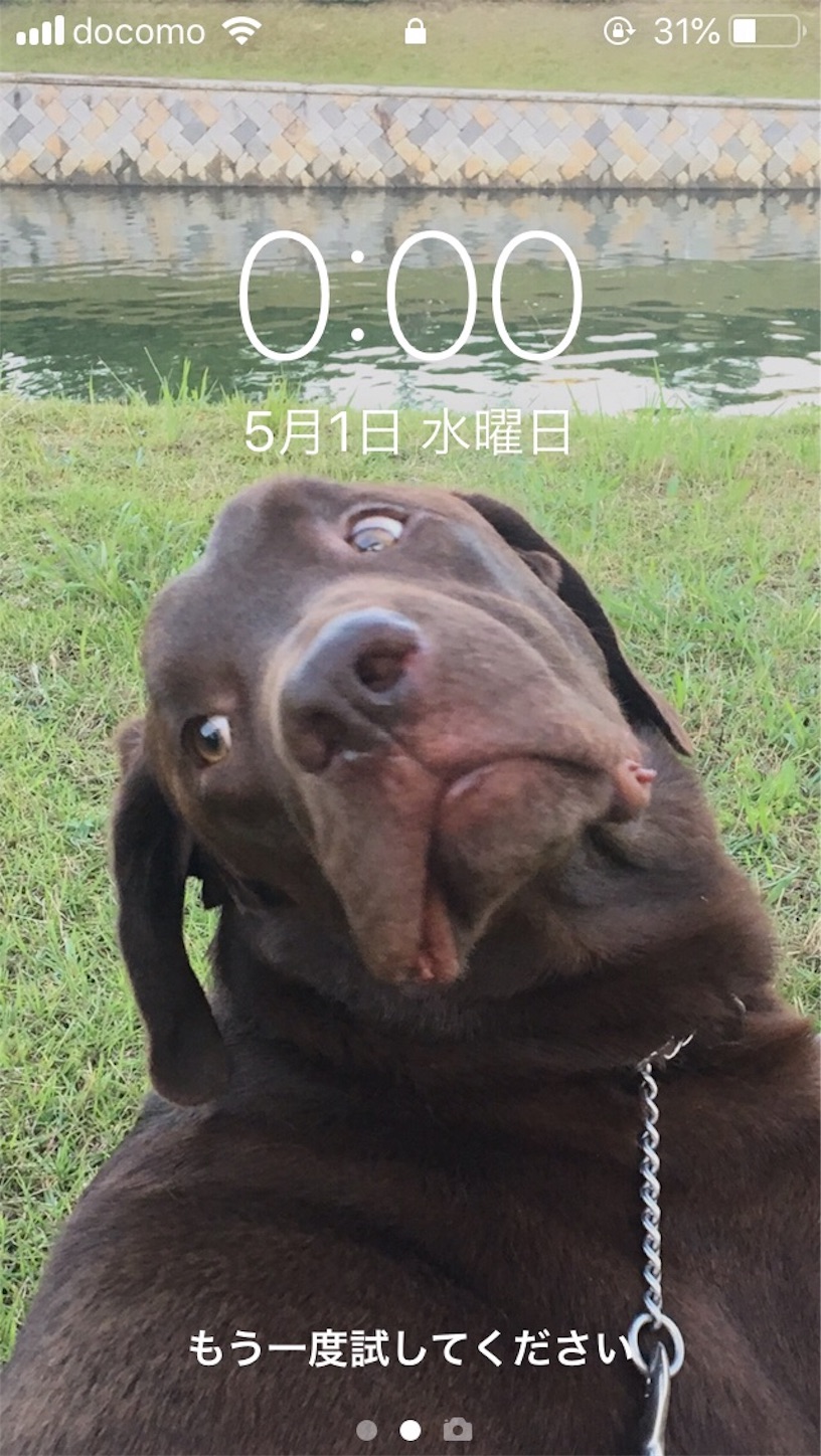 f:id:als20170208:20190609170113j:image