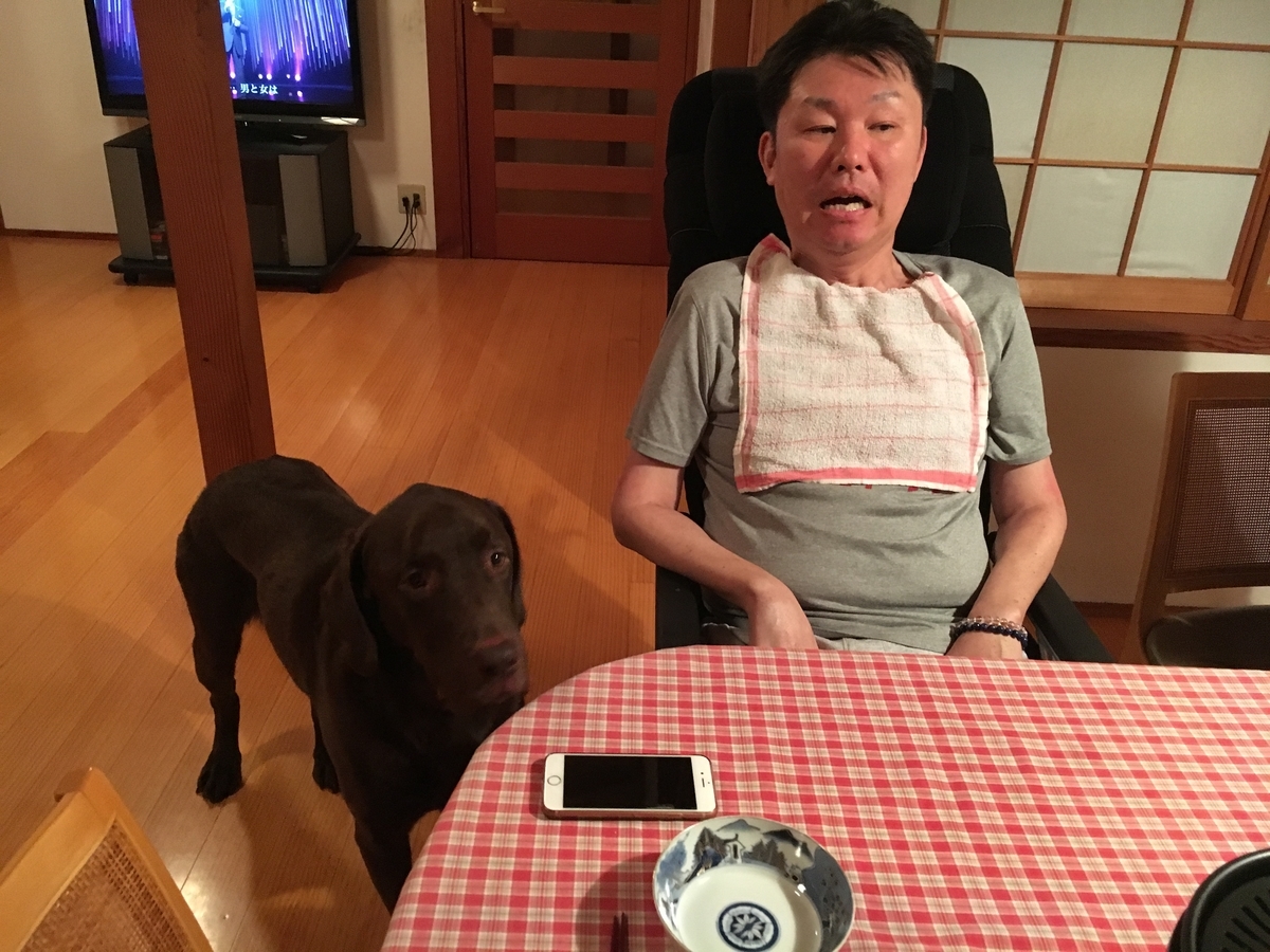 f:id:als20170208:20190728181732j:plain