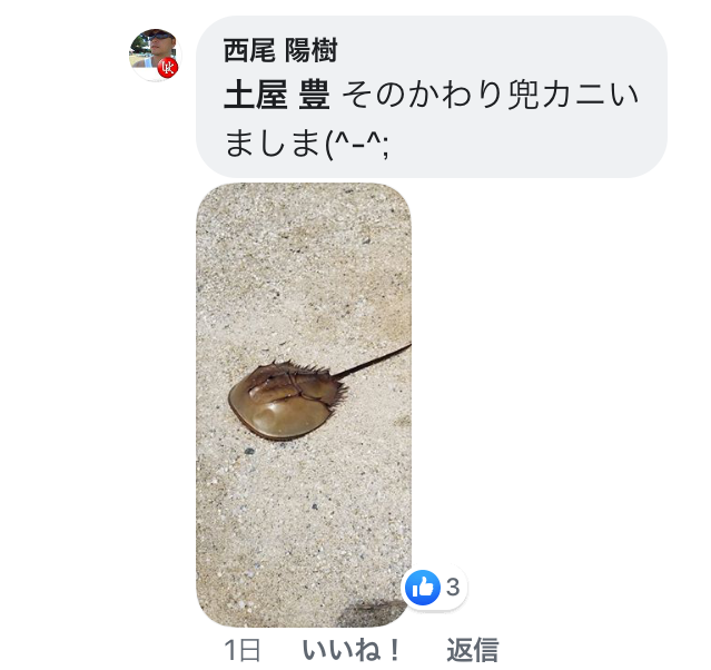 f:id:als20170208:20190810171135p:plain