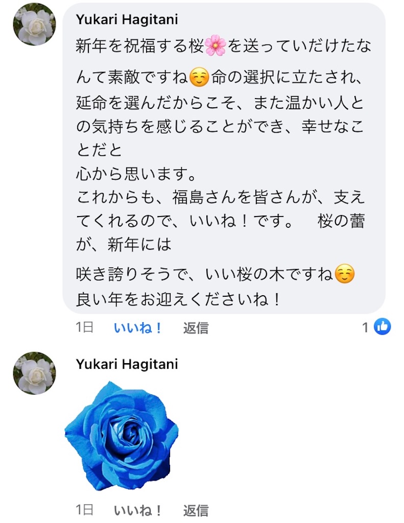 f:id:als20170208:20201231130943j:image