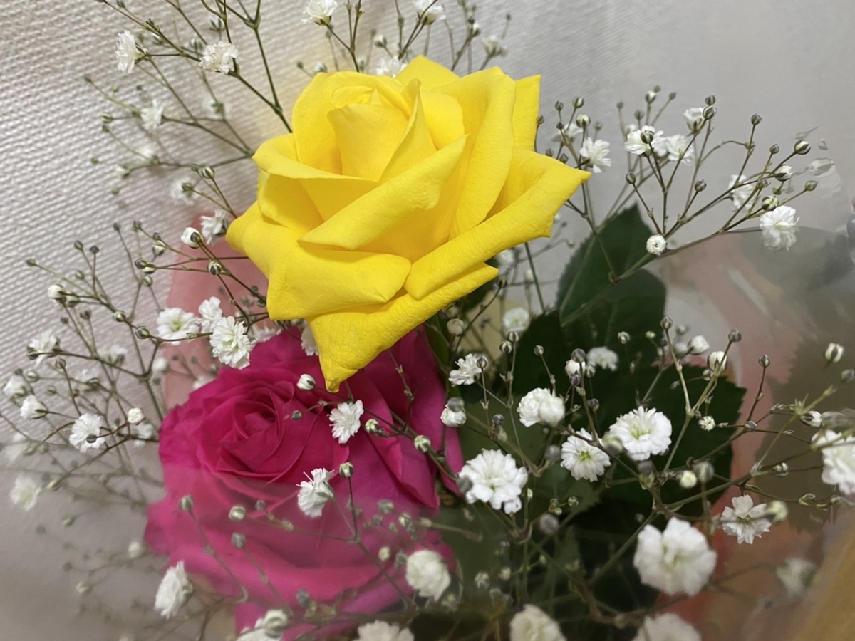 f:id:als20170208:20210315192127j:plain