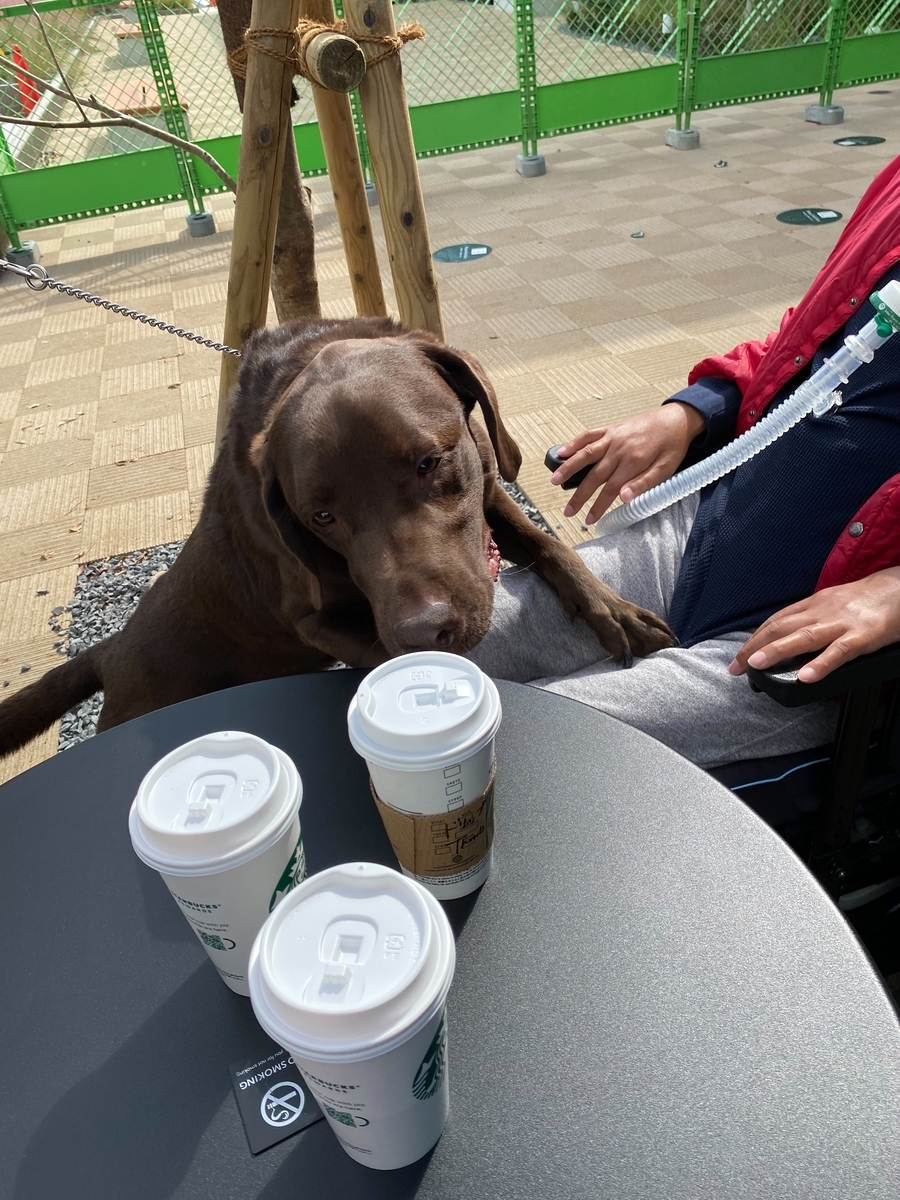 f:id:als20170208:20211020021010j:plain