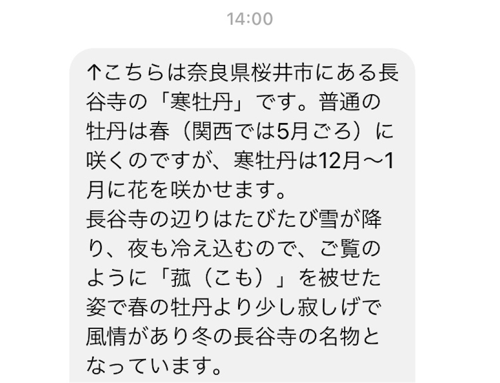 f:id:als20170208:20220103201333j:image