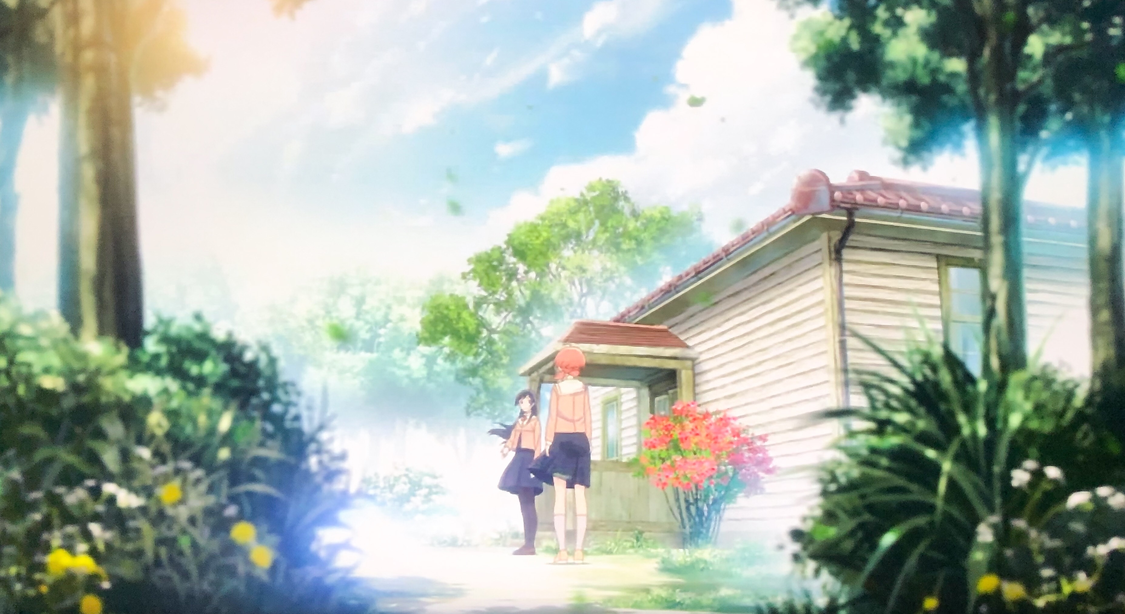f:id:alterEgo:20190202003743j:plain