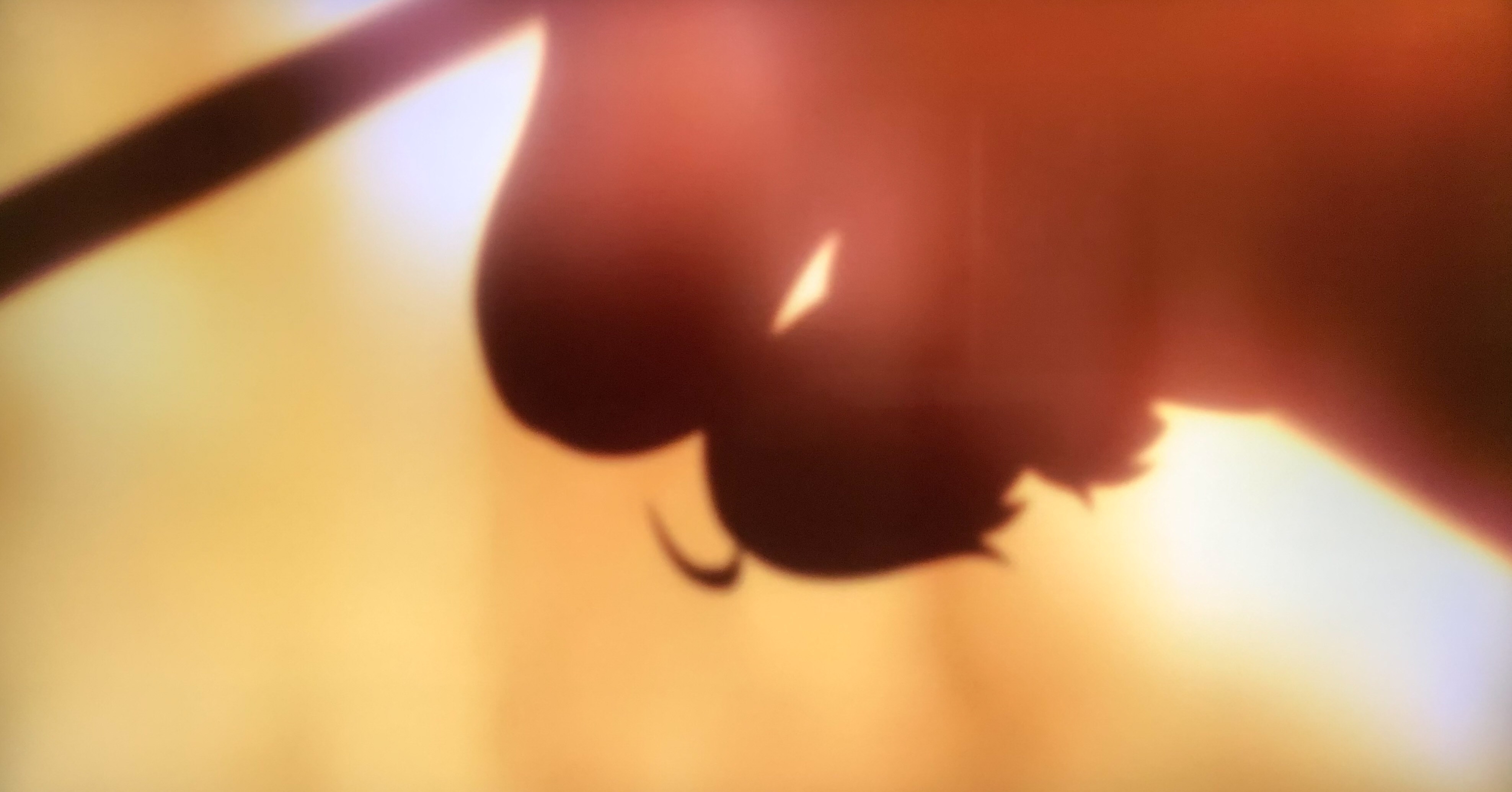 f:id:alterEgo:20190202024938j:plain
