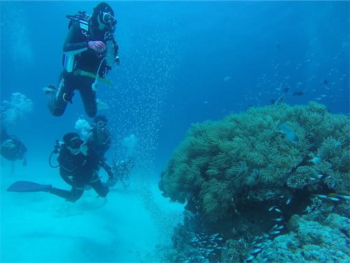 f:id:alterdive:20190313183206j:image