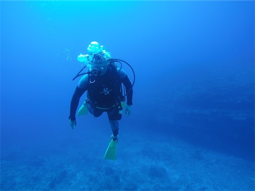 f:id:alterdive:20190409012019j:image