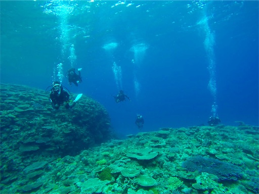 f:id:alterdive:20190428231500j:image f:id:alterdive:20190428231500j:image