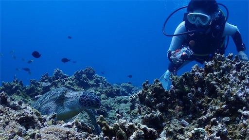 f:id:alterdive:20190501002839j:image f:id:alterdive:20190501002839j:image