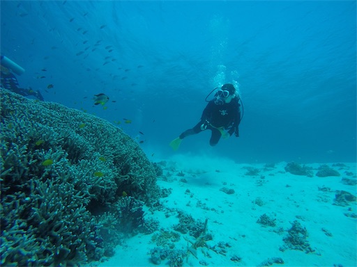 f:id:alterdive:20190502235306j:image f:id:alterdive:20190502235306j:image