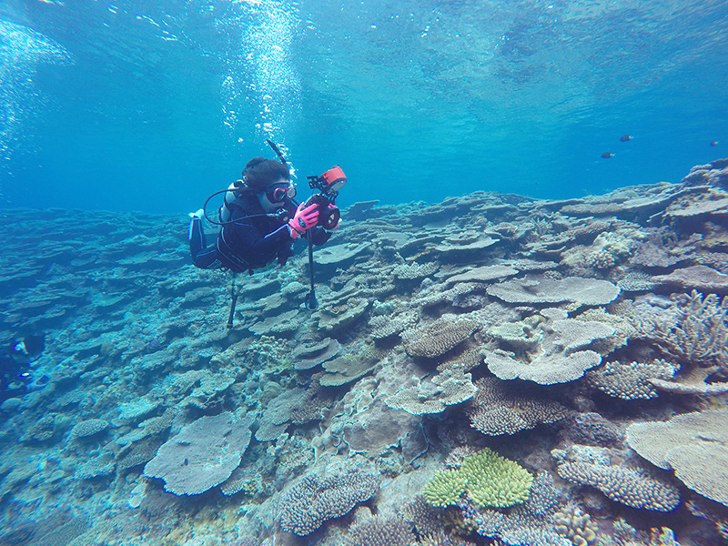 f:id:alterdive:20190504074845j:plain f:id:alterdive:20190504074845j:plain