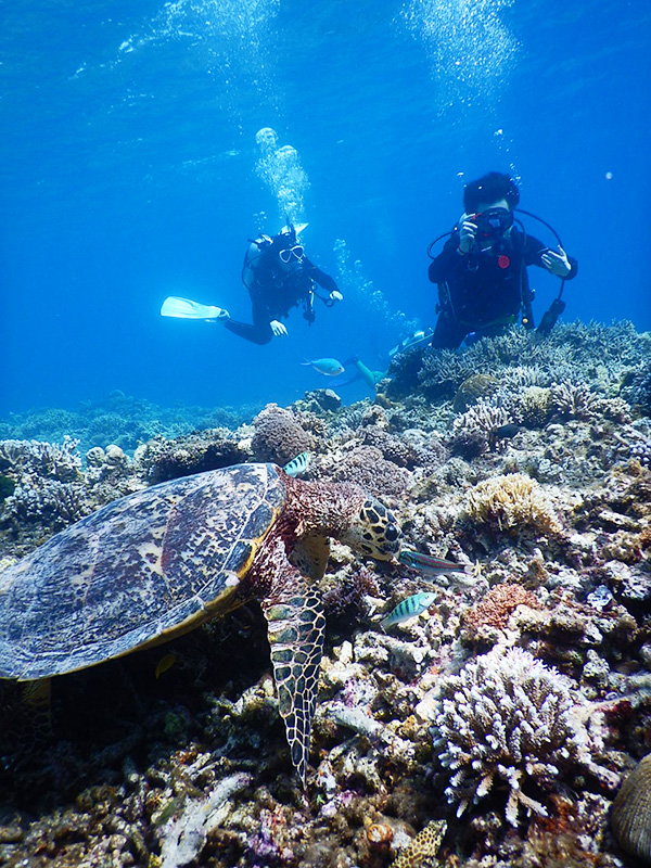 f:id:alterdive:20190504074907j:plain f:id:alterdive:20190504074907j:plain