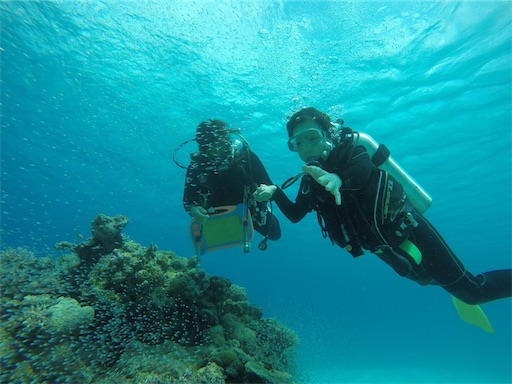 f:id:alterdive:20190506002919j:image f:id:alterdive:20190506002919j:image