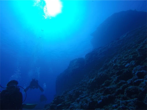 f:id:alterdive:20190506002924j:image f:id:alterdive:20190506002924j:image