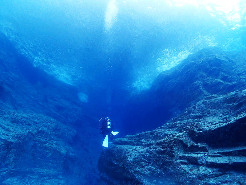 f:id:alterdive:20190605225759j:plain f:id:alterdive:20190605225759j:plain