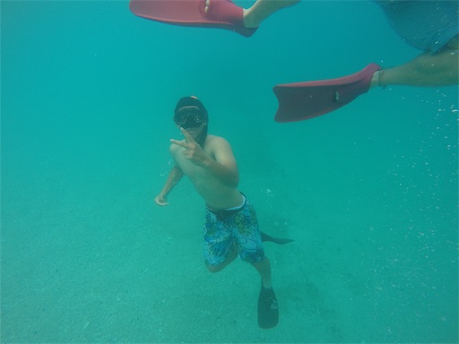 f:id:alterdive:20190616235004j:image f:id:alterdive:20190616235004j:image