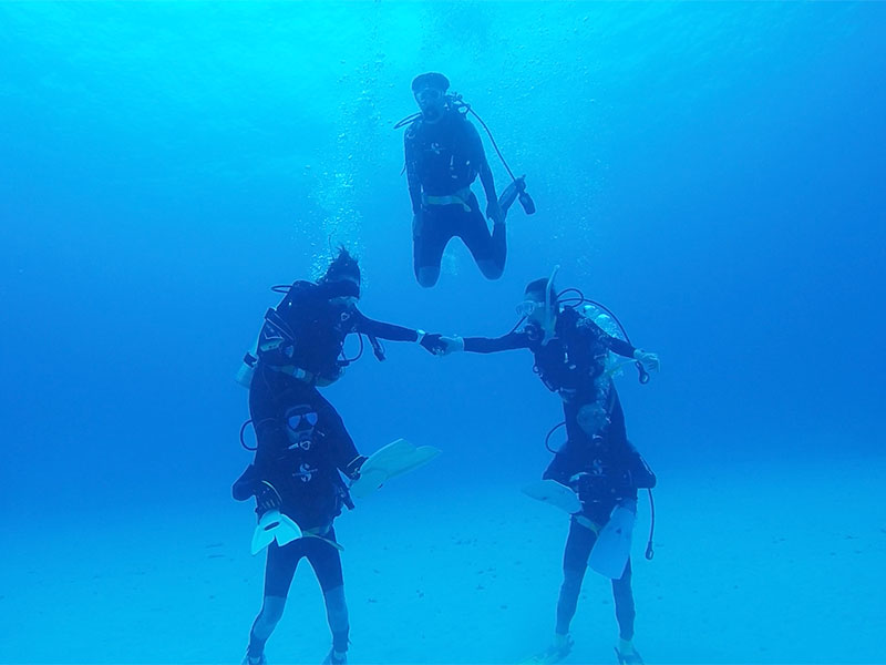 f:id:alterdive:20190625081457j:plain f:id:alterdive:20190625081457j:plain