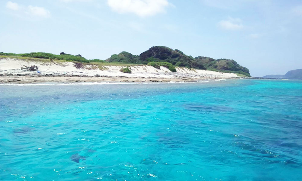 f:id:alterdive:20190713075009j:plain f:id:alterdive:20190713075009j:plain