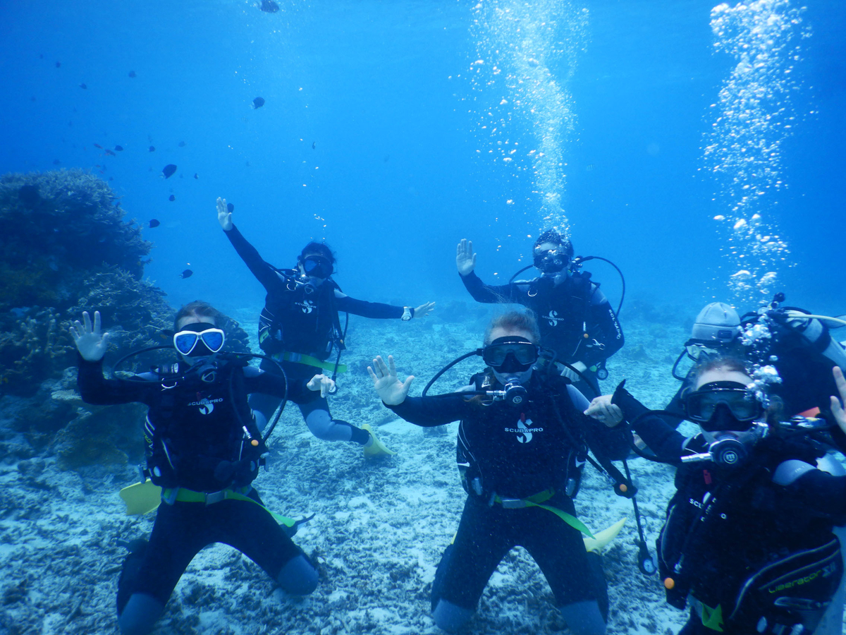 f:id:alterdive:20190804113734j:plain f:id:alterdive:20190804113734j:plain
