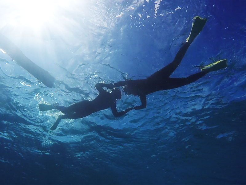 f:id:alterdive:20190804113847j:plain f:id:alterdive:20190804113847j:plain