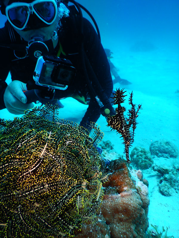 f:id:alterdive:20190831160033j:plain f:id:alterdive:20190831160033j:plain
