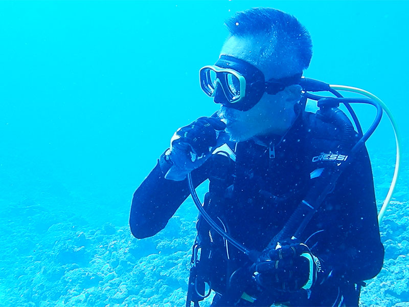 f:id:alterdive:20190905164620j:plain f:id:alterdive:20190905164620j:plain