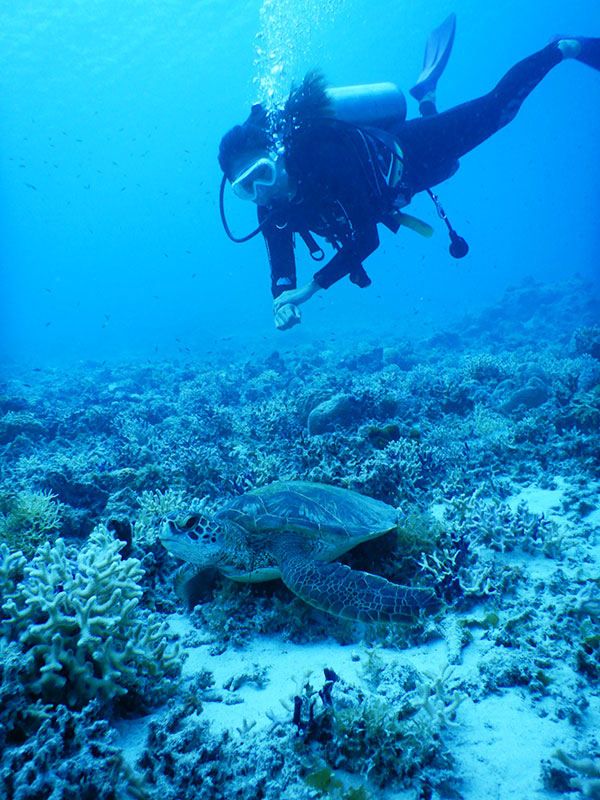 f:id:alterdive:20190916083639j:plain f:id:alterdive:20190916083639j:plain