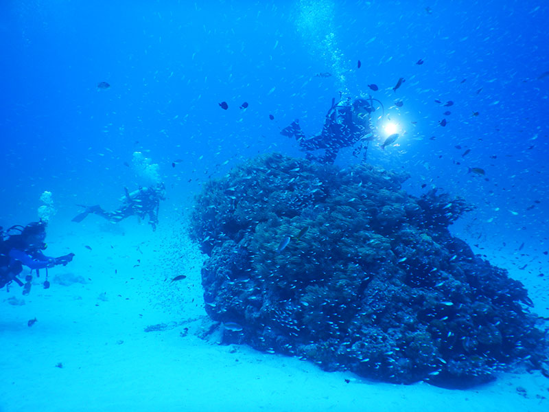 f:id:alterdive:20190916083648j:plain f:id:alterdive:20190916083648j:plain