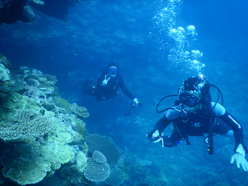 f:id:alterdive:20190926213322j:plain f:id:alterdive:20190926213322j:plain