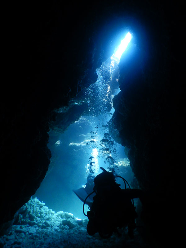 f:id:alterdive:20190926213546j:plain f:id:alterdive:20190926213546j:plain