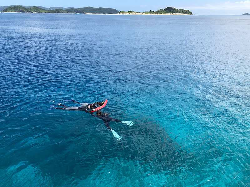 f:id:alterdive:20191001221510j:plain f:id:alterdive:20191001221510j:plain