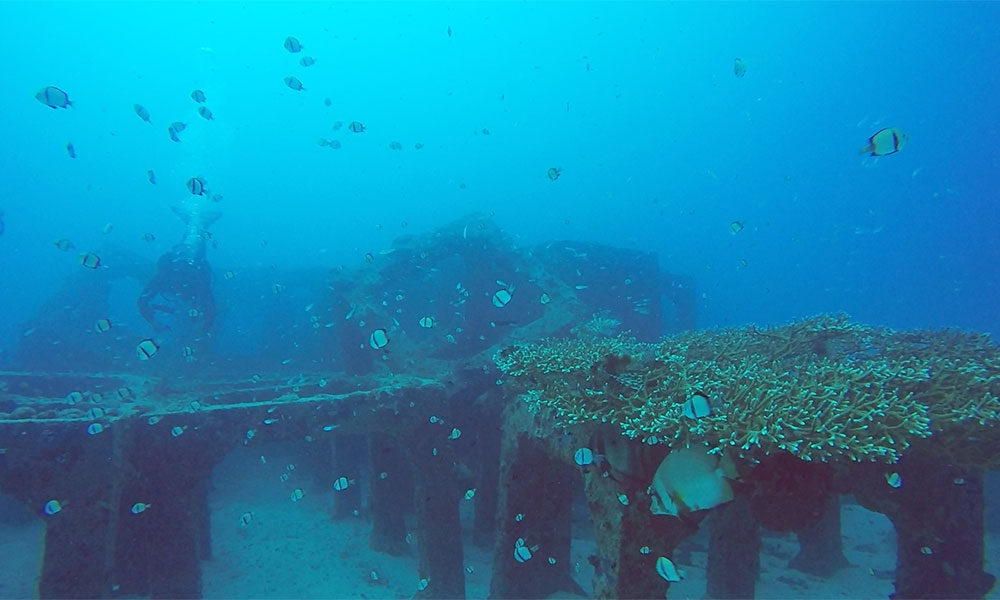 f:id:alterdive:20191005161455j:plain f:id:alterdive:20191005161455j:plain