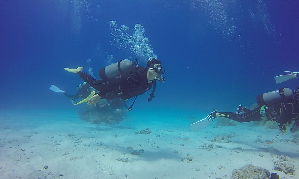 f:id:alterdive:20191020191507j:plain f:id:alterdive:20191020191507j:plain