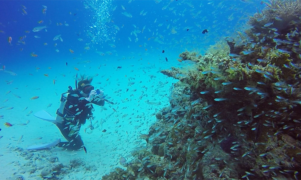 f:id:alterdive:20191020195958j:plain f:id:alterdive:20191020195958j:plain