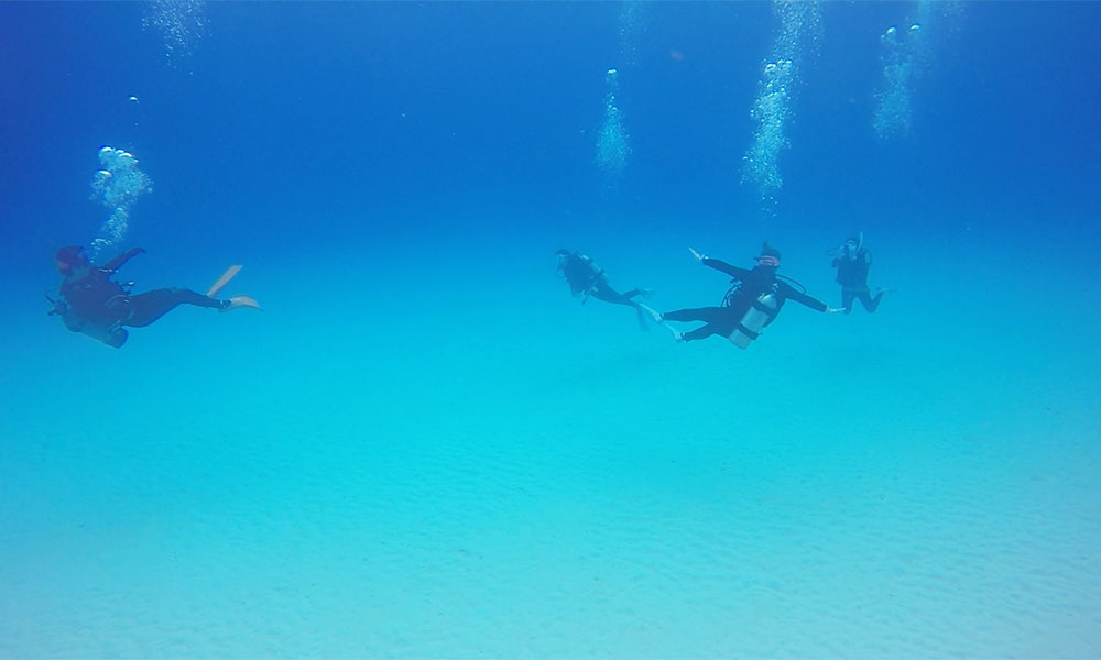 f:id:alterdive:20191020200010j:plain f:id:alterdive:20191020200010j:plain