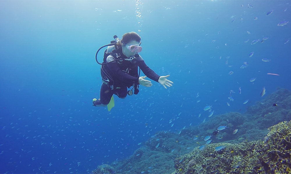 f:id:alterdive:20191024221237j:plain f:id:alterdive:20191024221237j:plain