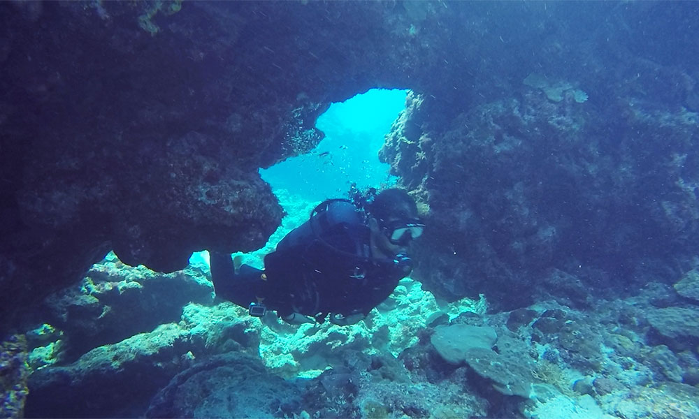 f:id:alterdive:20191028194047j:plain f:id:alterdive:20191028194047j:plain