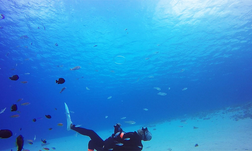 f:id:alterdive:20191101214910j:plain f:id:alterdive:20191101214910j:plain