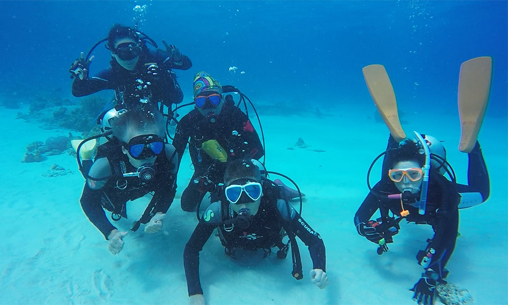 f:id:alterdive:20191106195812j:plain f:id:alterdive:20191106195812j:plain