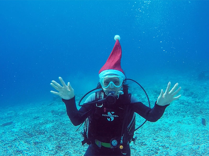 f:id:alterdive:20191227193240j:plain f:id:alterdive:20191227193240j:plain