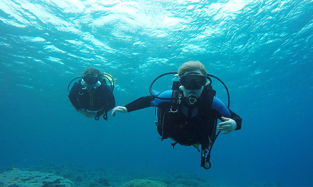f:id:alterdive:20200130085220j:plain f:id:alterdive:20200130085220j:plain