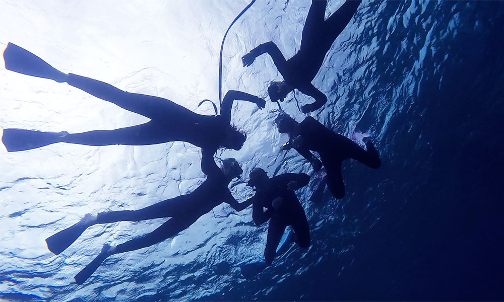f:id:alterdive:20200130085424j:plain f:id:alterdive:20200130085424j:plain