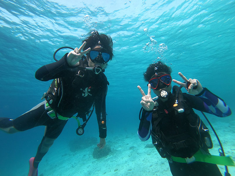 f:id:alterdive:20200324233521j:plain f:id:alterdive:20200324233521j:plain