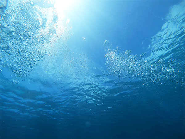 f:id:alterdive:20200615212005j:plain f:id:alterdive:20200615212005j:plain