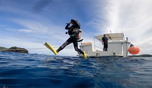 f:id:alterdive:20200704134315j:plain f:id:alterdive:20200704134315j:plain