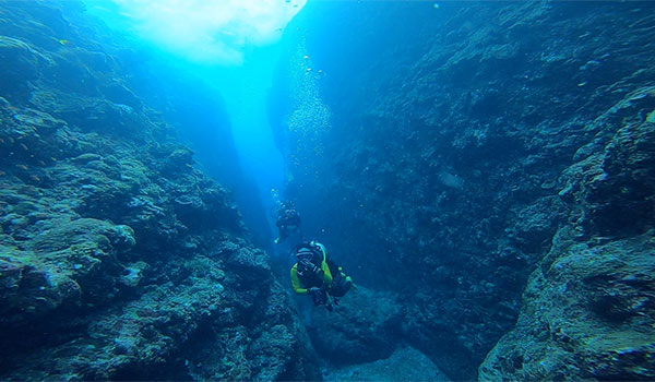 f:id:alterdive:20200704134430j:plain f:id:alterdive:20200704134430j:plain